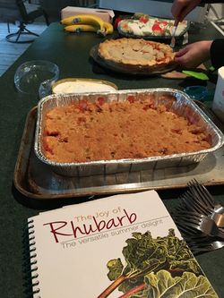 Rhubarb pie