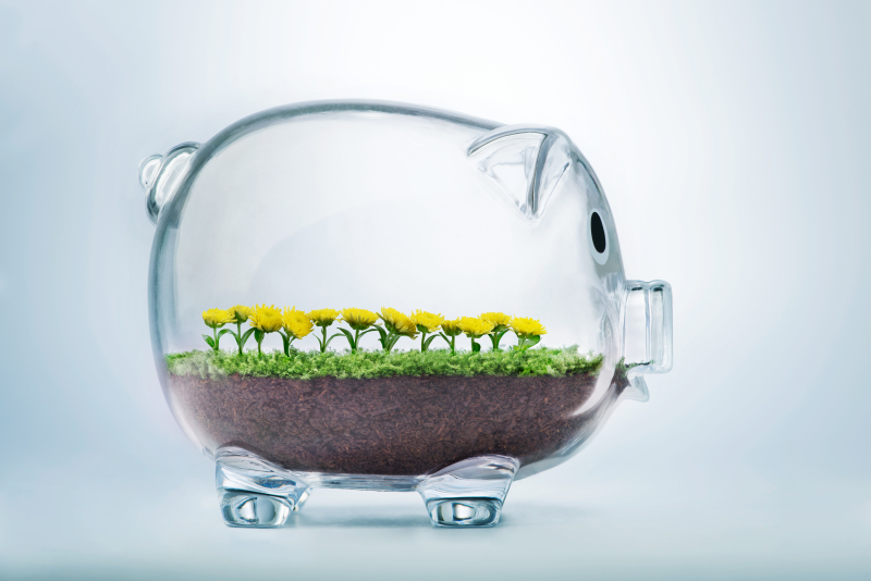 AdobeStock_101702162