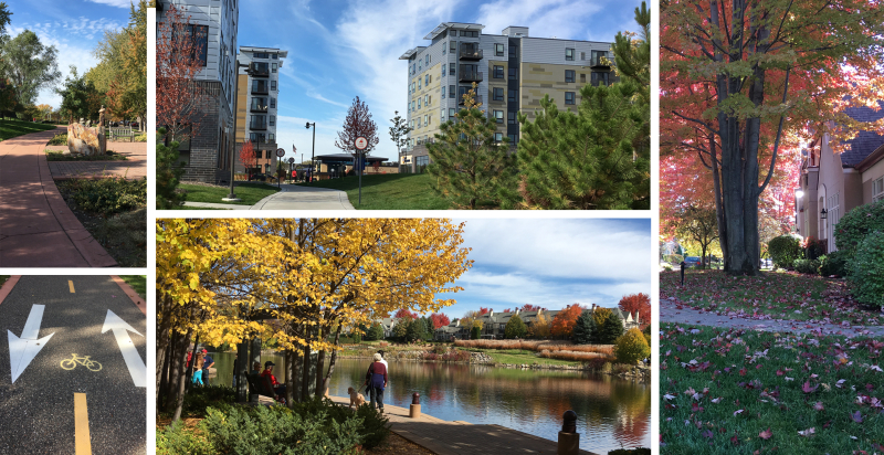 Edina southdale-walkability