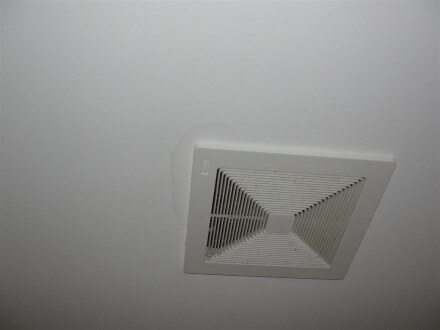 Ceiling Stain bath fan