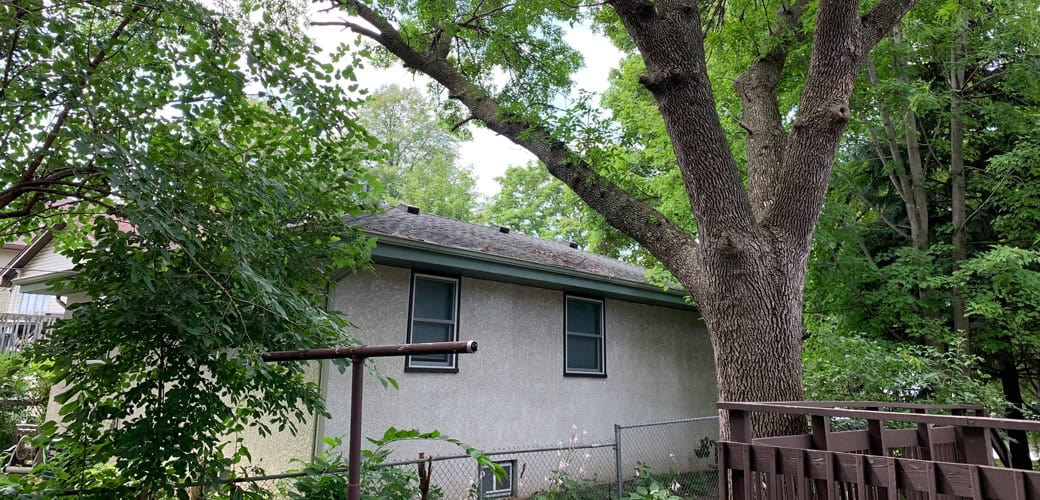 tree encroachment