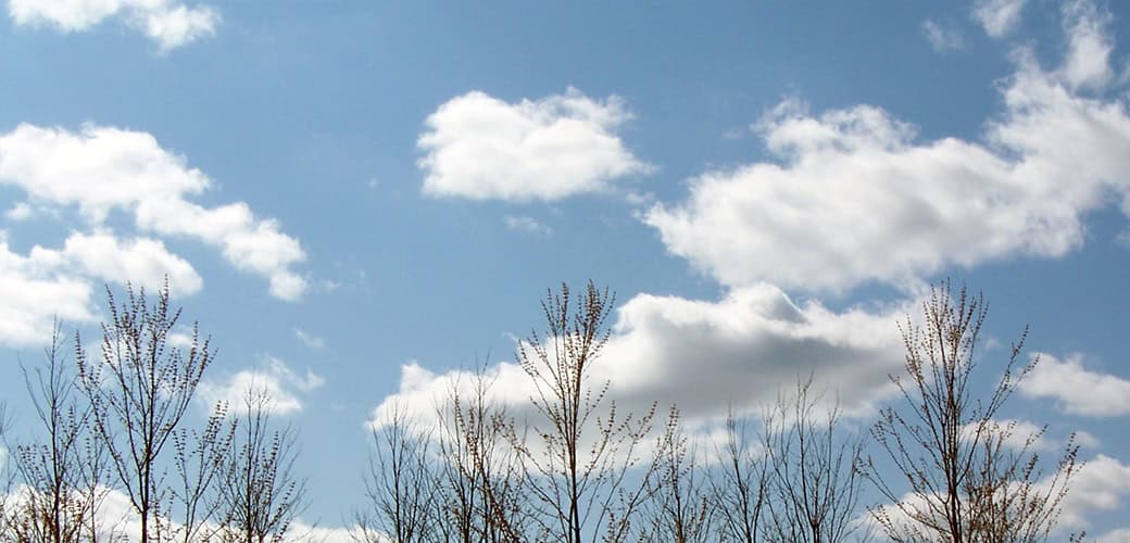 clouds-trees
