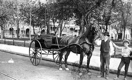 rice park-horse and buggy1900