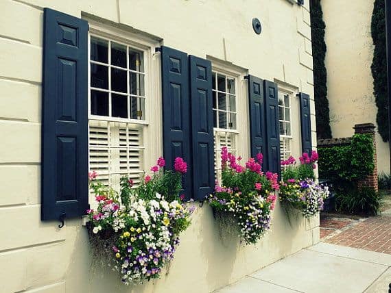 Navy Shutters