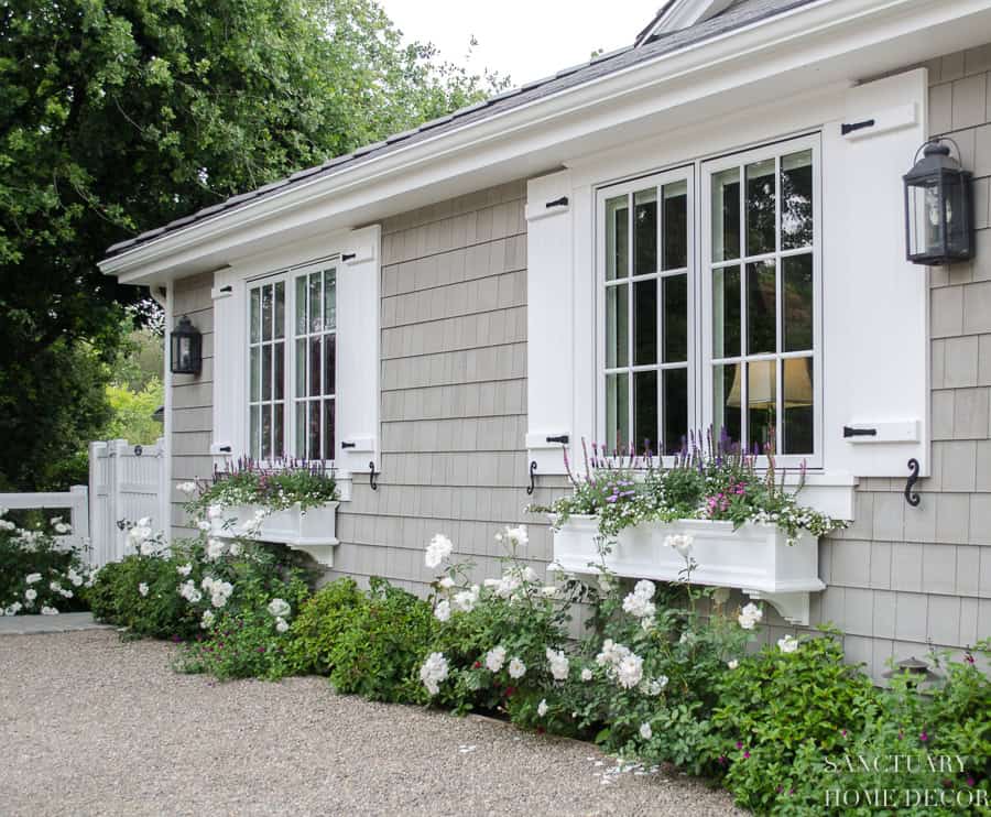 Shutters-and-Planter-Boxes-Cape-Cod-Style-2