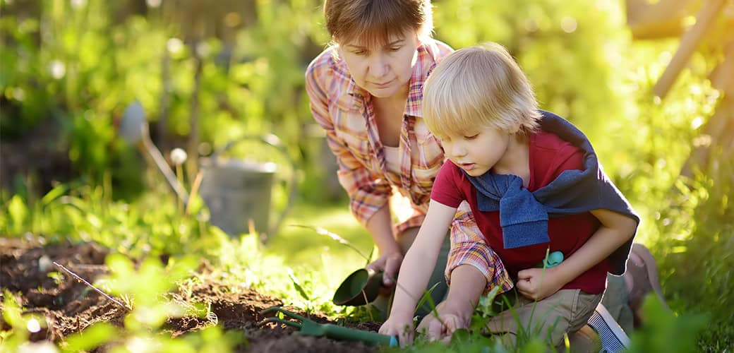 gardening