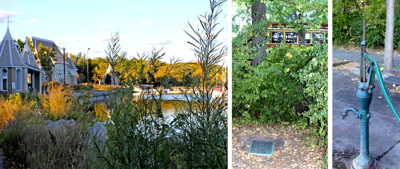 lake harriet-first school