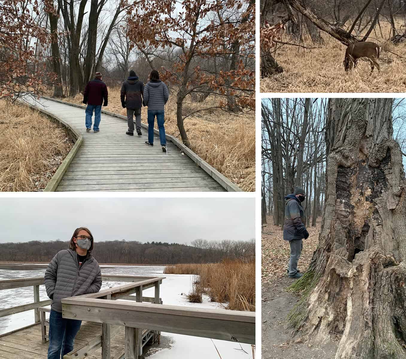 westwood hills nature center 2