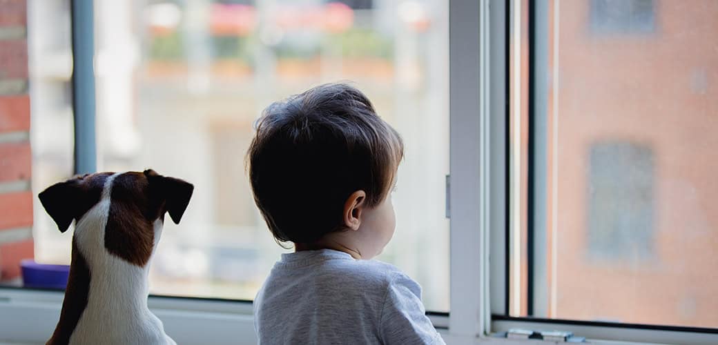 dog and boy looking out window