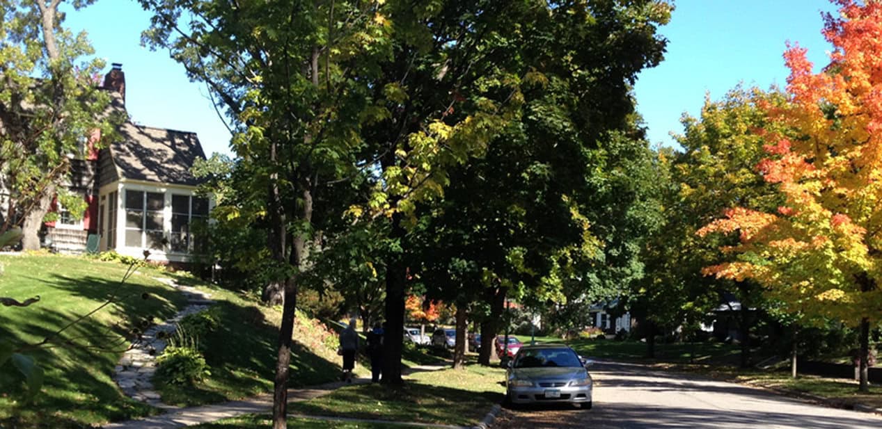 st anthony park-tree line street