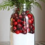 cranberry center piece