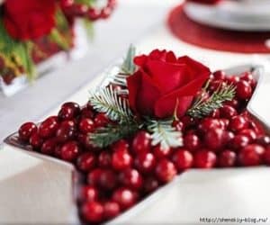 cranberry star