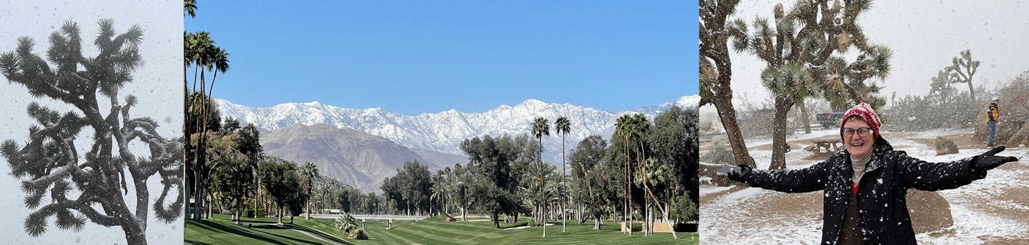 2022-02-23-joshua tree