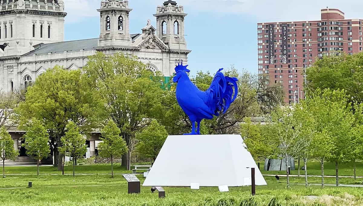 hahn-cock3