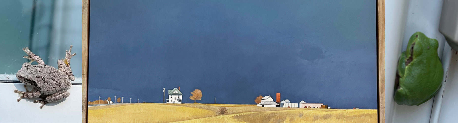 2022-09-14-farm-frogs