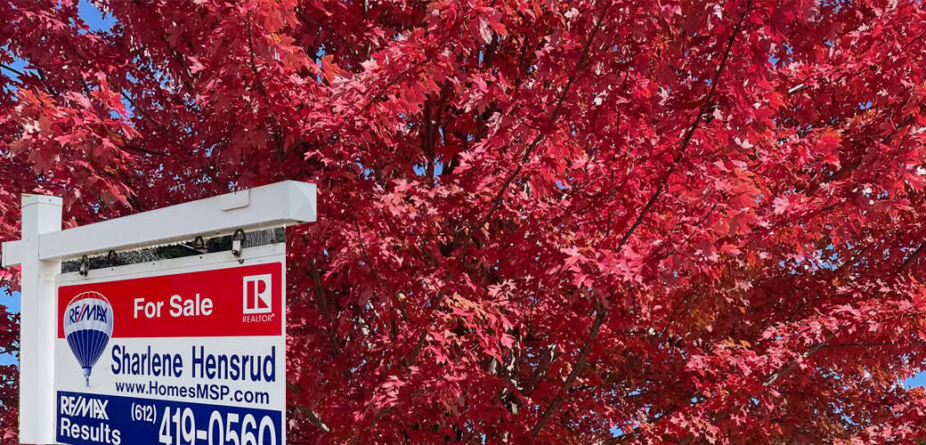 for sale-fall color