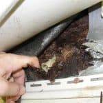 Rotted Wall Sheathing
