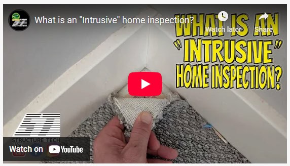 Intrusive Inspection
