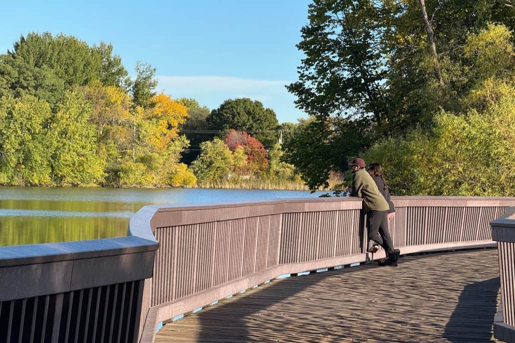 Silverwood Walk To Island