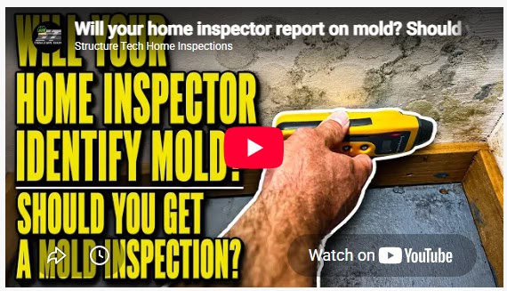 Reuben Mold