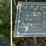 Silverwood Forest Bathing1
