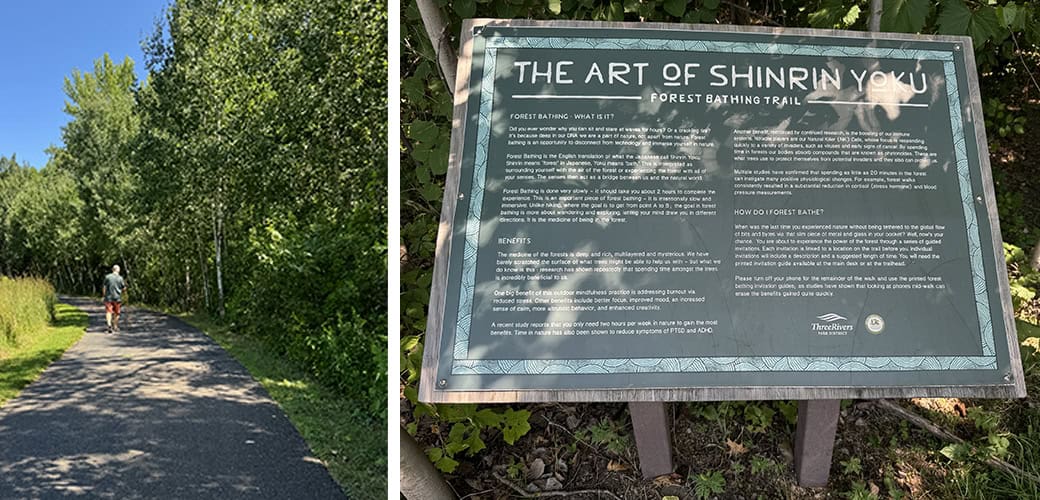 Silverwood Forest Bathing1