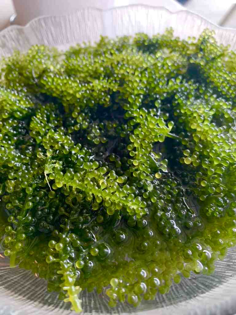 Sea Grapes on a plate