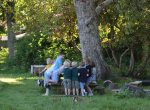 Children exploring woods at Inchmarlo estate, engaging with nature.
