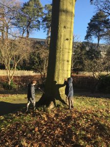 Two children playing near a large tree in Inchmarlo Park, surrounded by lush greenery and natural beauty.