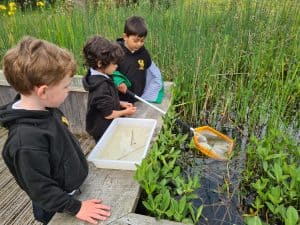 Children exploring pond wildlife at Inchmarlo Outdoor Center.