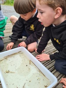 Children exploring nature at Inchmarlo, enjoying outdoor learning and hands-on environmental activities.