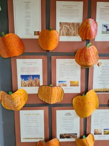 Colorful decorative pumpkins at Inchmarlo, perfect for autumn displays and festive decor.