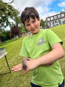 Young boy holding a tiny guinea pig outdoors at Inchmarlo Nursery.