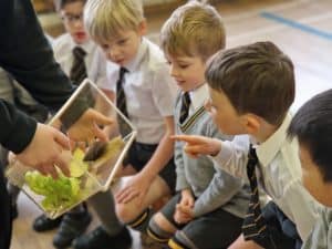 Children exploring nature with a tablet at Inchmarlo School in Scotland.