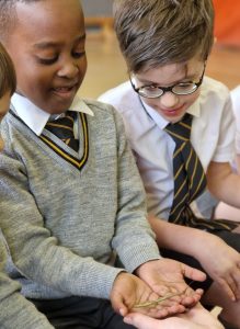 Two children sharing a leaf in the classroom, highlighting education and student engagement at Inchmarlo.