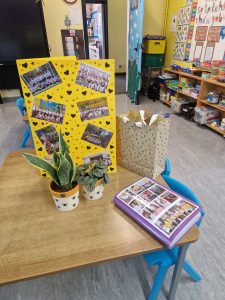 Colorful school display with books and plants in classroom setting.