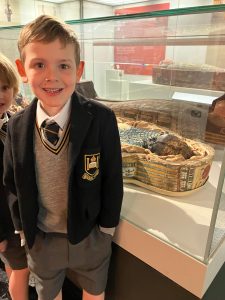 Young boy at Inchmarlo estate nature center, exploring local wildlife and nature exhibits.