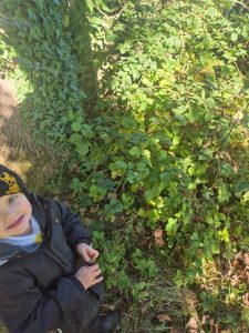 Child exploring lush greenery at Inchmarlo.
