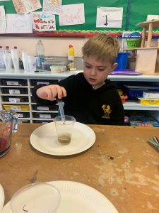 Young student performing a science experiment at Inchmarlo School.