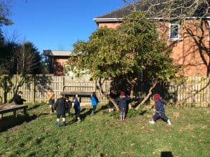 Children playing under a large tree at Inchmarlo care home in Scotland, enjoying outdoor activities and scenic surroundings.
