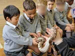 Young students observing a snake interaction during school activity.