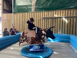 Children enjoying pony rides at Inchmarlo estate in Aberdeenshire.