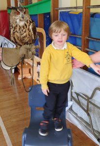Young boy standing on a balance board with an owl puppet at Inchmarlo School.
