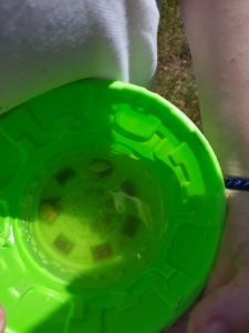 Bright green plastic bowl on child's arm, outdoor setting.