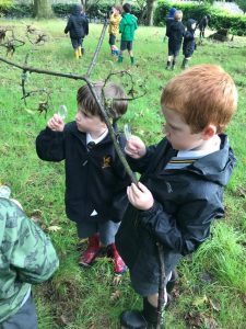 Children exploring nature at Inchmarlo outdoor education.