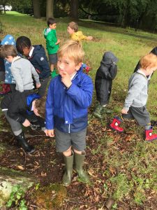 Children exploring outdoors at Inchmarlo estate in Scotland.