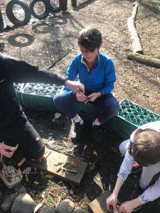Children exploring nature at Inchmarlo estate garden.
