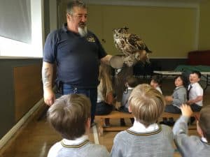 Educational falconry display at Inchmarlo for kids and visitors.