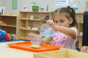 Pouring water into a cup during a Montessori activity for young children.