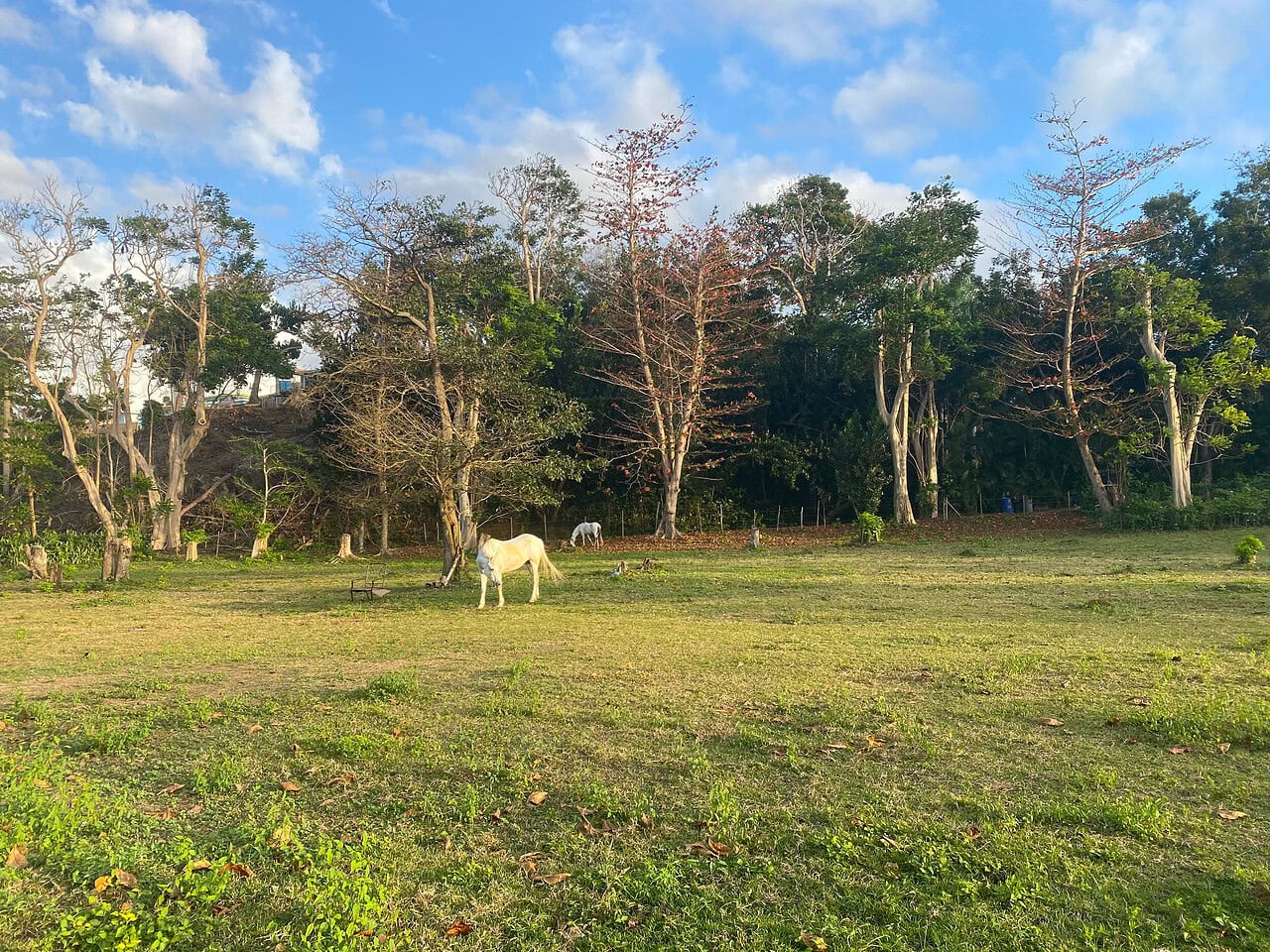 rincon puerto rico katie sampayo